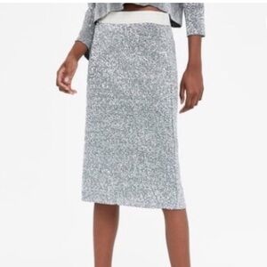 Zara Metallic Silver Sequin Pencil Skirt